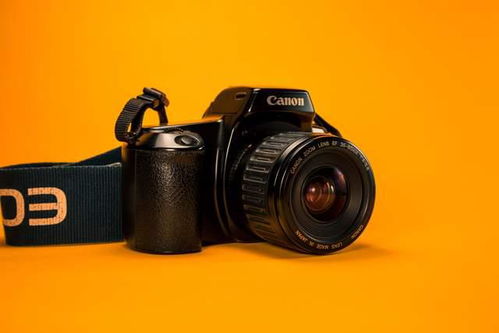 旅游熱潮激發數碼相機市場回暖，佳能等品牌蓄勢待發